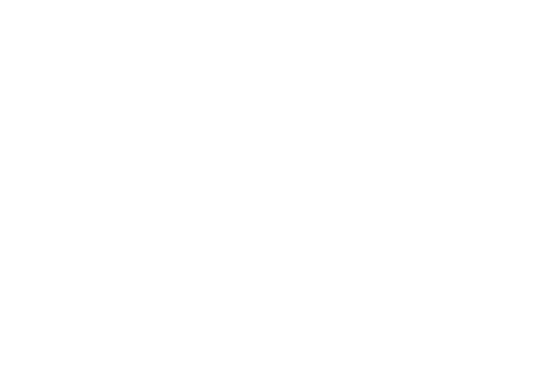 NMLS Logo